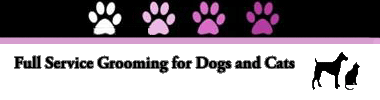 Dog Grooming Salon